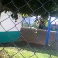 5 de Mayo