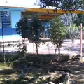 J Jesus Luera