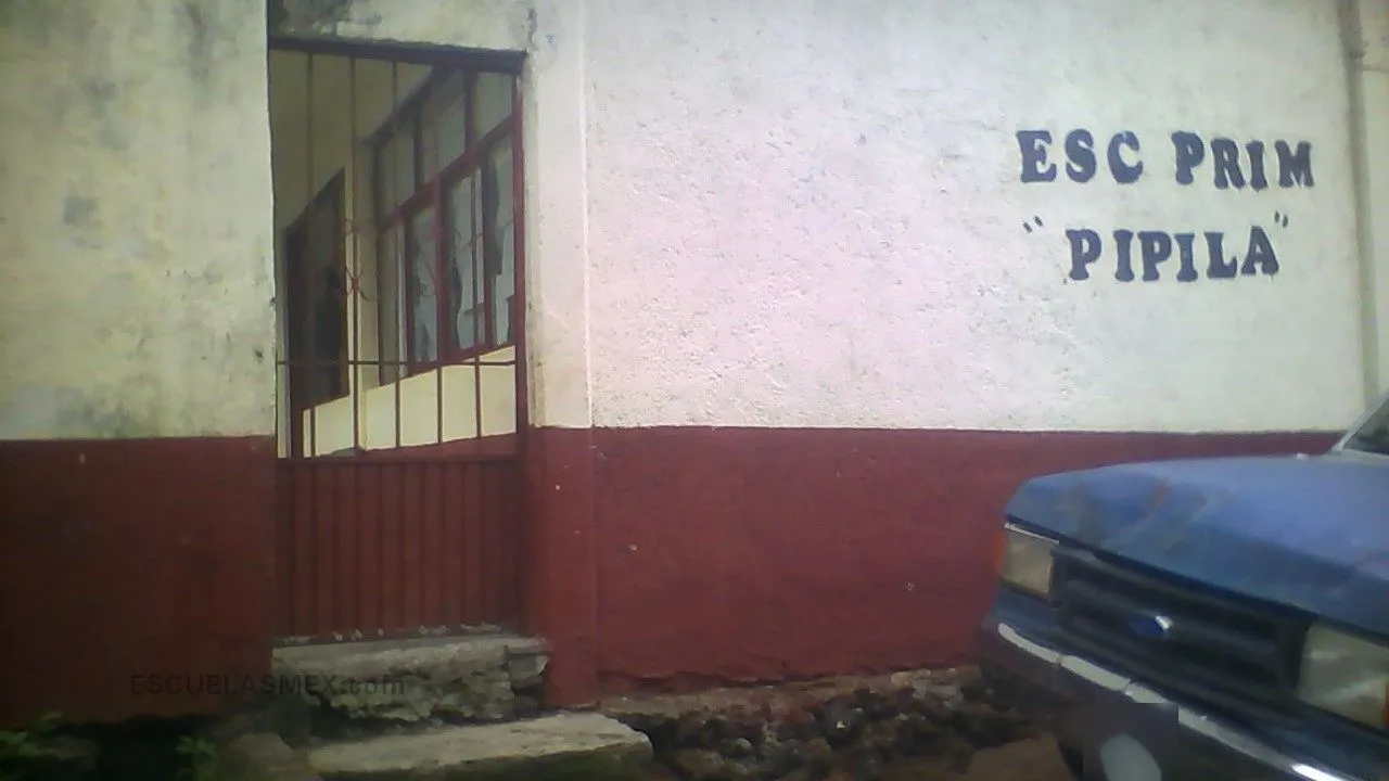 Pipila Entrada