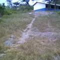 Justo Sierra