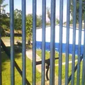 Presidente Juarez