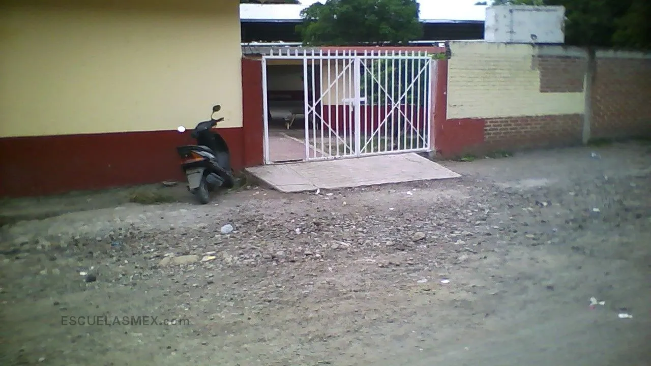 Alfredo V Bonfil Entrada