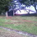 Jose Maria Morelos