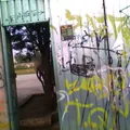 Revolucion