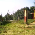 Cuauhtemoc