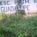 Guadalupe Victoria