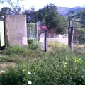 Lazaro Cardenas