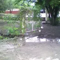 Ricardo Flores Magon