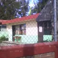 Jesus Romero Flores
