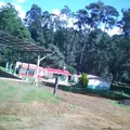 Lic. Benito Juarez