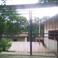 Escuela Primaria