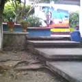 Profr. Rafael C. Haro