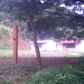 Jose Vasconcelos