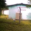 Justo Sierra
