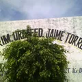 Jaime Torres Bodet
