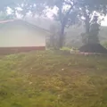 Niños Heroes