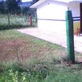 La Primavera