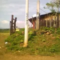 Escuela Secundaria Tecnica Intercultural Num. 7 Profr. Elpidio Dominguez Castro