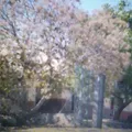 Escuela Telesecundaria Estv16 014