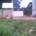 Escuela Telesecundaria Estv16 269