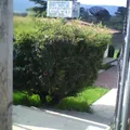 Escuela Telesecundaria Estv16 273