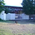 Escuela Telesecundaria Estv16 424