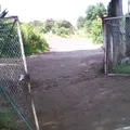 Escuela Telesecundaria Estv16 447