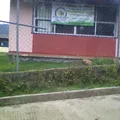 Escuela Telesecundaria Estv16 565