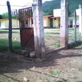 Escuela Telesecundaria Estv16 608