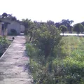 Escuela Telesecundaria Estv16 696