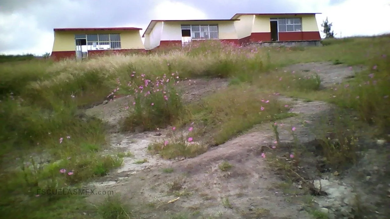Gertrudis Bocanegra Entrada