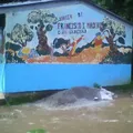 Preescolar Comunitario