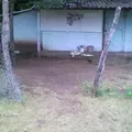 Preescolar Comunitario Acopeo