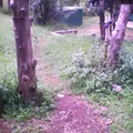 Jardin de Niños Comunitario Monte Grande