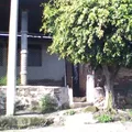Preescolar Comunitario la Estancia