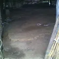 Escuela Primaria Comunitaria Dibujada la