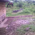 Primaria Comunitaria Ojo de Agua
