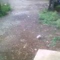 Primaria Comunitaria Yerbabuena, la