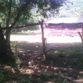 Primaria Comunitaria la Rodillera