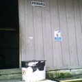 Primaria Comunitaria el Tepehuaje