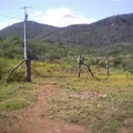 Primaria Comunitaria el Paso de los Becerros