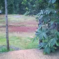 Telesecundaria Comunitaria Mata de Platano