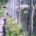 Telesecundaria Comunitaria Parritas (el Aguacate)