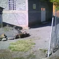 Secundaria Comunitaria Españita