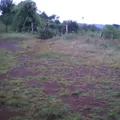Secundaria Comunitaria Buensuceso