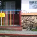 Profr. Estanislao Rojas