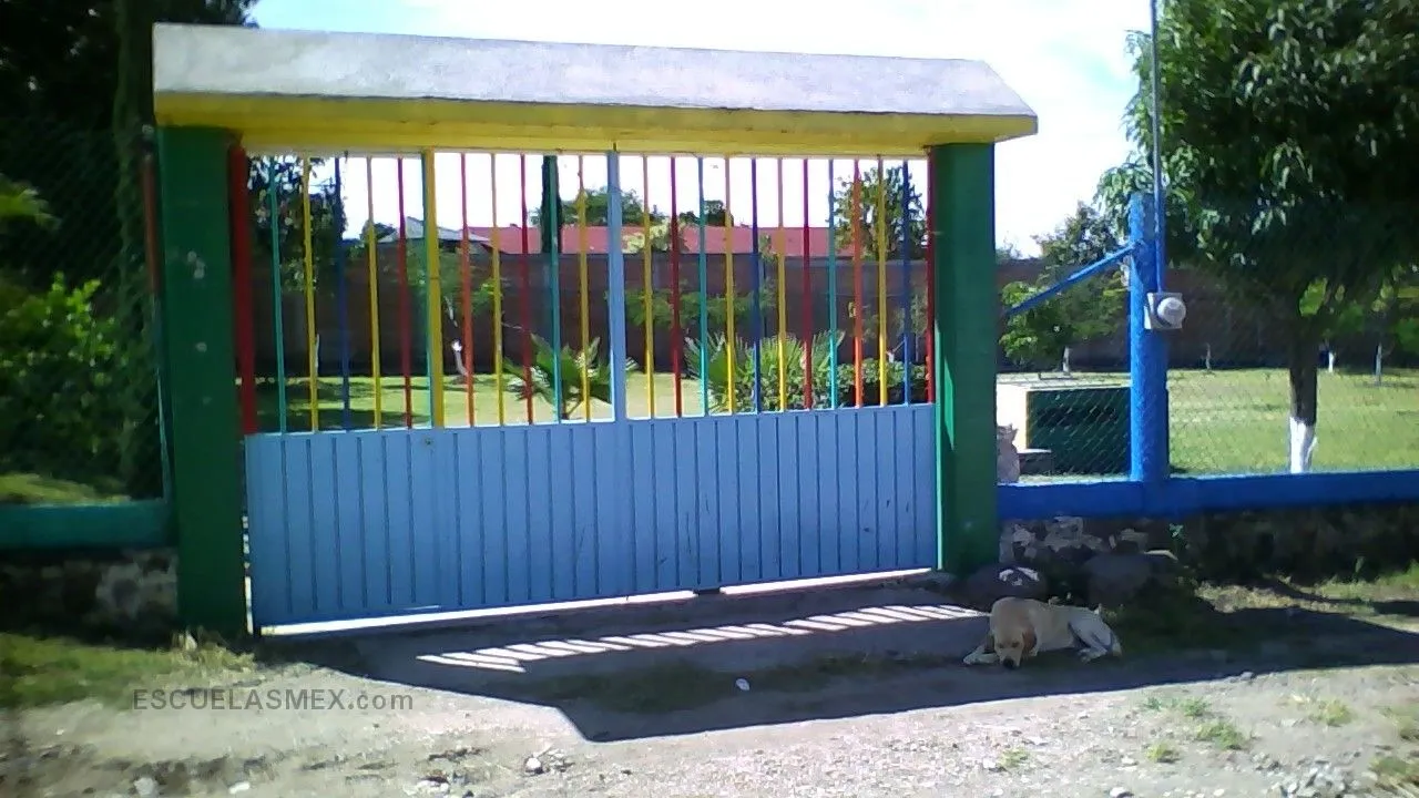 Nuevo Milenio Entrada