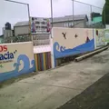 Libertad y Democracia