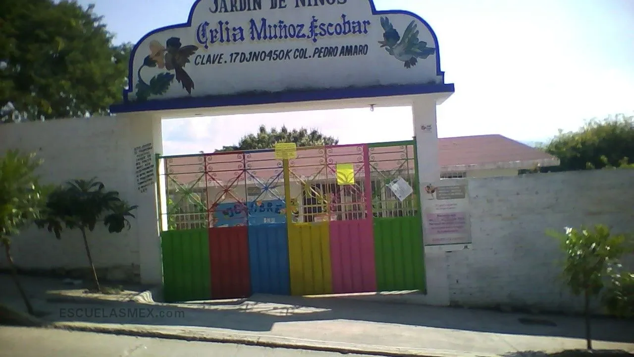 Profra. Celia Muñoz Escobar Entrada