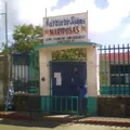Mariposas